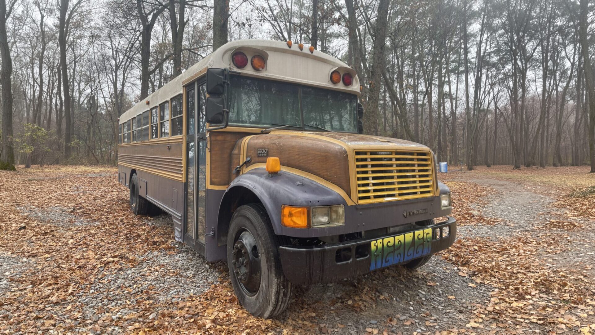 A50FA73E-2D00-45BE-A05E-C7D165CC226F-scaled