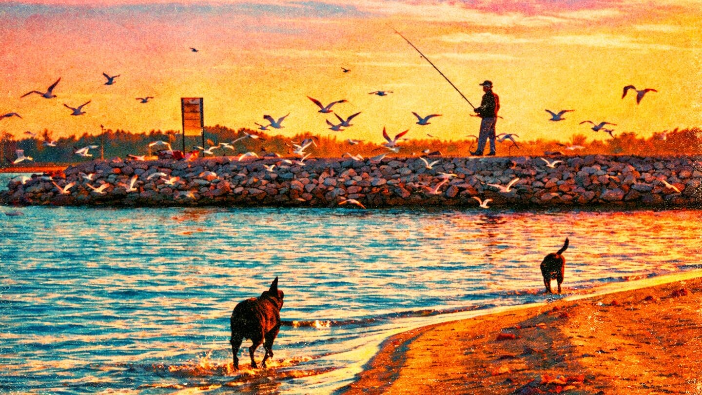 waterlife-and-outdoor-recreation-activities-in-rend-lake